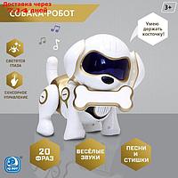Собака-робот интерактивная "Чаппи", звуковые и световые эффекты, ходит цвет золотой