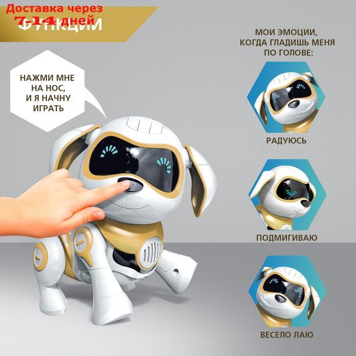 Собака-робот интерактивная "Чаппи", звуковые и световые эффекты, ходит цвет золотой - фото 4 - id-p227116747
