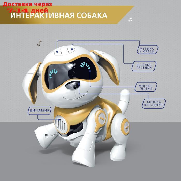 Собака-робот интерактивная "Чаппи", звуковые и световые эффекты, ходит цвет золотой - фото 5 - id-p227116747