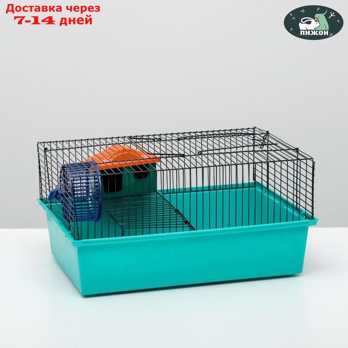 Клетка для грызунов "Пижон" №4, с этажом, укомплектованная, 37 х 26 х 18 см, голубая