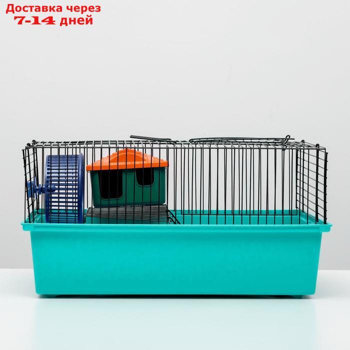 Клетка для грызунов "Пижон" №4, с этажом, укомплектованная, 37 х 26 х 18 см, голубая - фото 3 - id-p227098036