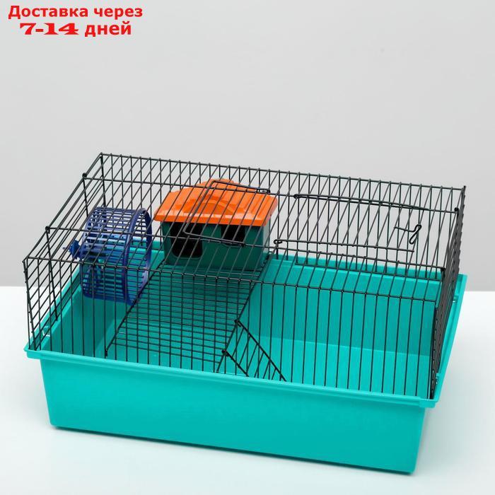 Клетка для грызунов "Пижон" №4, с этажом, укомплектованная, 37 х 26 х 18 см, голубая - фото 5 - id-p227098036
