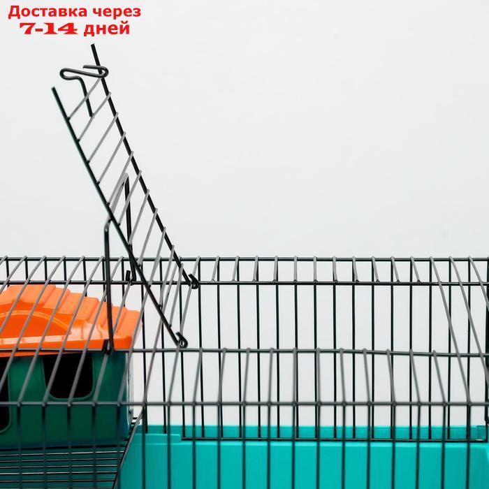 Клетка для грызунов "Пижон" №4, с этажом, укомплектованная, 37 х 26 х 18 см, голубая - фото 6 - id-p227098036