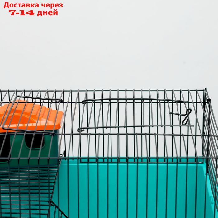 Клетка для грызунов "Пижон" №4, с этажом, укомплектованная, 37 х 26 х 18 см, голубая - фото 7 - id-p227098036