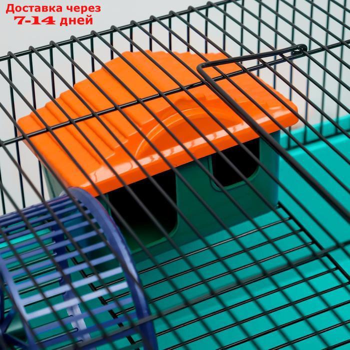 Клетка для грызунов "Пижон" №4, с этажом, укомплектованная, 37 х 26 х 18 см, голубая - фото 8 - id-p227098036