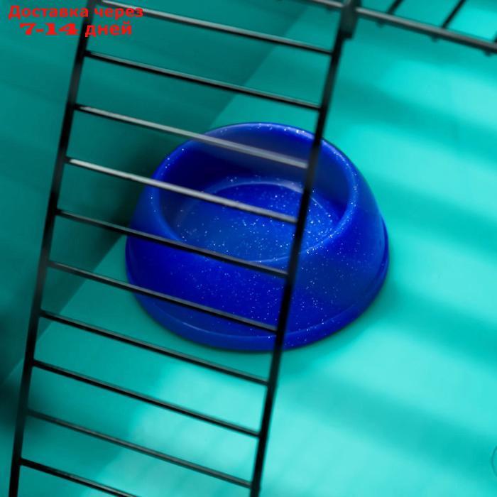Клетка для грызунов "Пижон" №4, с этажом, укомплектованная, 37 х 26 х 18 см, голубая - фото 10 - id-p227098036