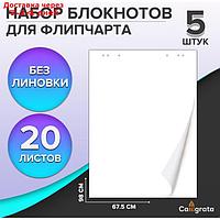 Набор 5шт блокнотов д/флипчарта 20л 67,5*98см белый, 92%, 80г/м2, Calligrata