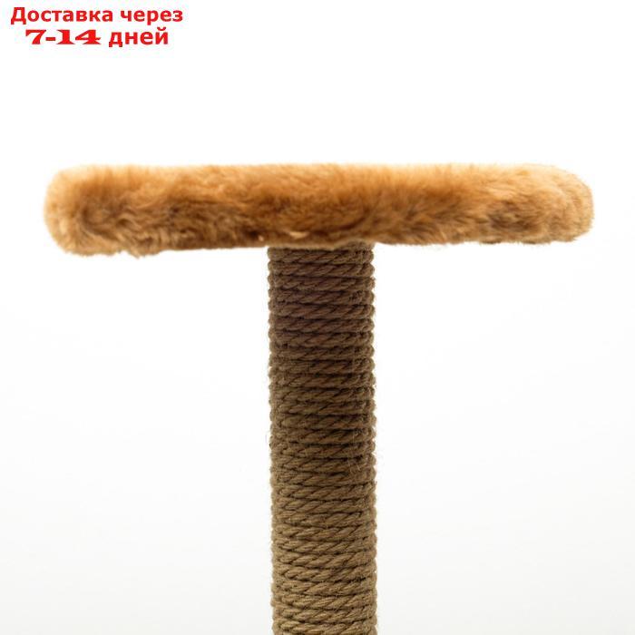 Комплекс угловой "Пижон" с гамаком, 48 х 48 х 171 см, джут, искусственный мех, коричневый - фото 5 - id-p227098057