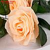 Цветы искусственные "Роза Жанна" 10*61 см, кремовая, фото 2