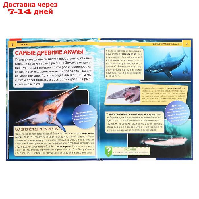 Энциклопедия с развивающими заданиями "Акулы" - фото 5 - id-p227098168