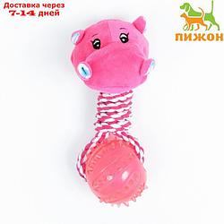 Игрушка для собак 3-в-1 "Бегемот": канатная, мягкая с пищалкой, мяч TPR, 20 см, розовая