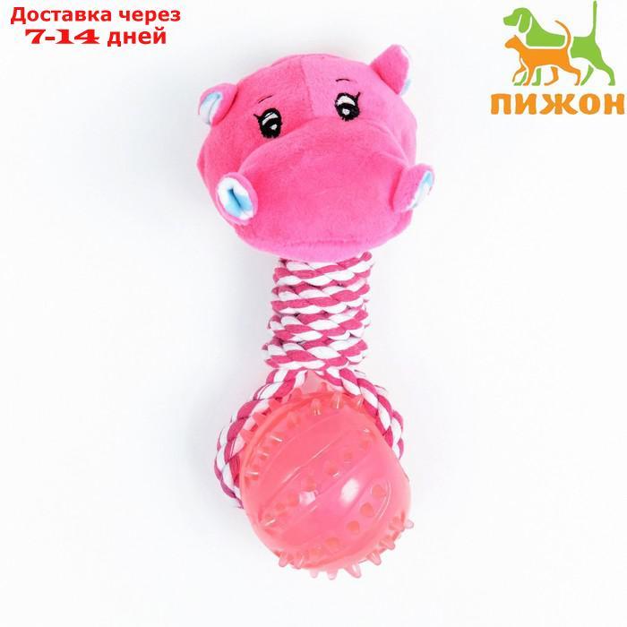 Игрушка для собак 3-в-1 "Бегемот": канатная, мягкая с пищалкой, мяч TPR, 20 см, розовая - фото 1 - id-p227126985