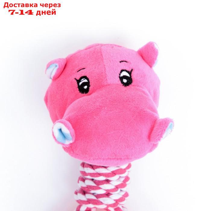Игрушка для собак 3-в-1 "Бегемот": канатная, мягкая с пищалкой, мяч TPR, 20 см, розовая - фото 4 - id-p227126985