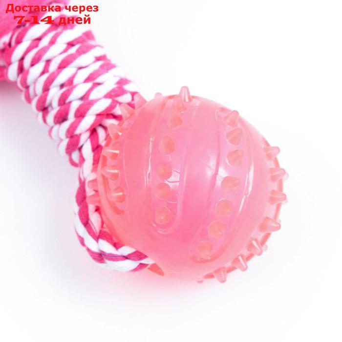 Игрушка для собак 3-в-1 "Бегемот": канатная, мягкая с пищалкой, мяч TPR, 20 см, розовая - фото 5 - id-p227126985