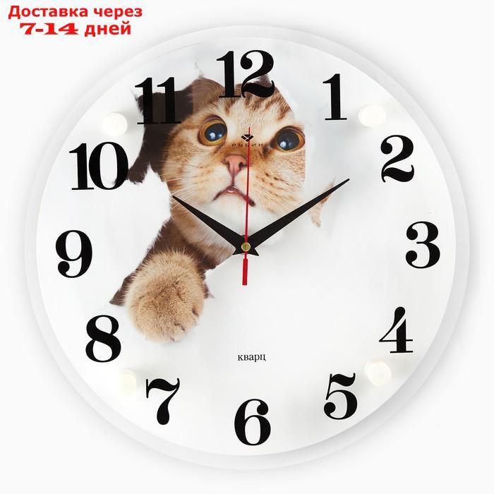 Часы настенные, серия: Животный мир, "Кот", 30х30 см микс - фото 1 - id-p227098203