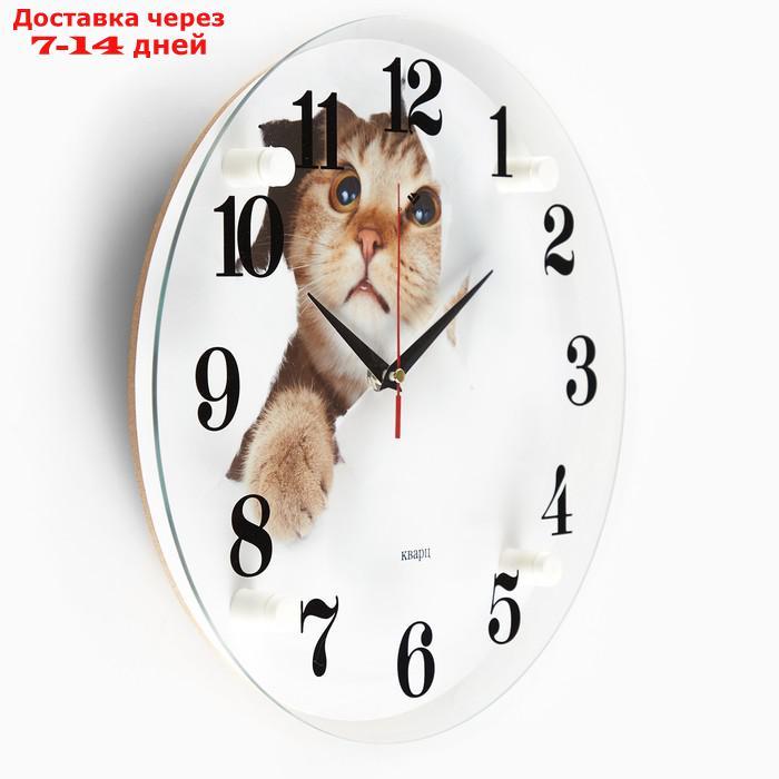 Часы настенные, серия: Животный мир, "Кот", 30х30 см микс - фото 2 - id-p227098203