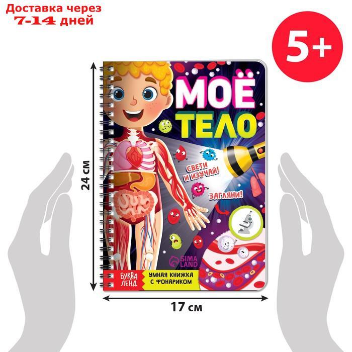 Умная книжка с фонариком "Моё тело". Свети и изучай, 30 стр. - фото 2 - id-p227114657