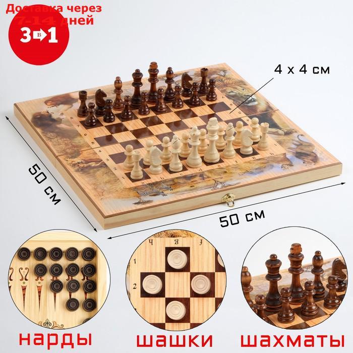 Настольная игра 3 в 1 "Сафари": шахматы, шашки, нарды, 50 х 50 см - фото 1 - id-p227114658