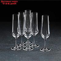 Набор бокалов для шампанского Apus, 210 мл, 6 шт
