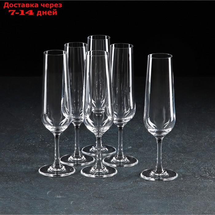 Набор бокалов для шампанского Apus, 210 мл, 6 шт - фото 1 - id-p227130972