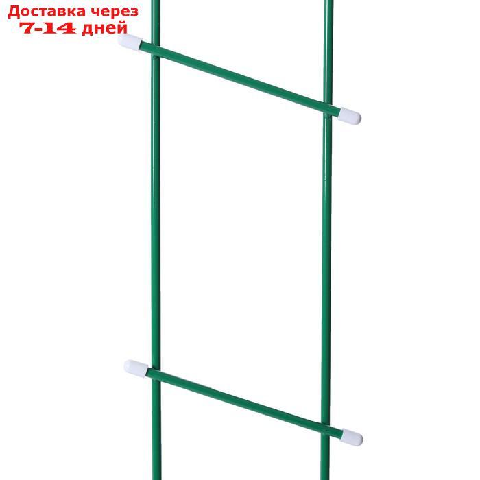 Шпалера, 140 × 23 × 1 см, металл, зелёная, "Лестница" - фото 2 - id-p227095002