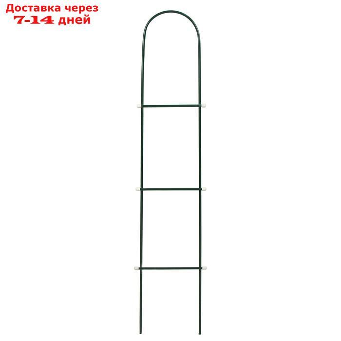 Шпалера, 140 × 23 × 1 см, металл, зелёная, "Лестница" - фото 3 - id-p227095002