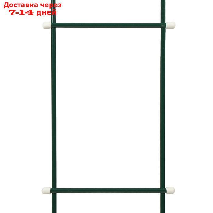Шпалера, 140 × 23 × 1 см, металл, зелёная, "Лестница" - фото 4 - id-p227095002