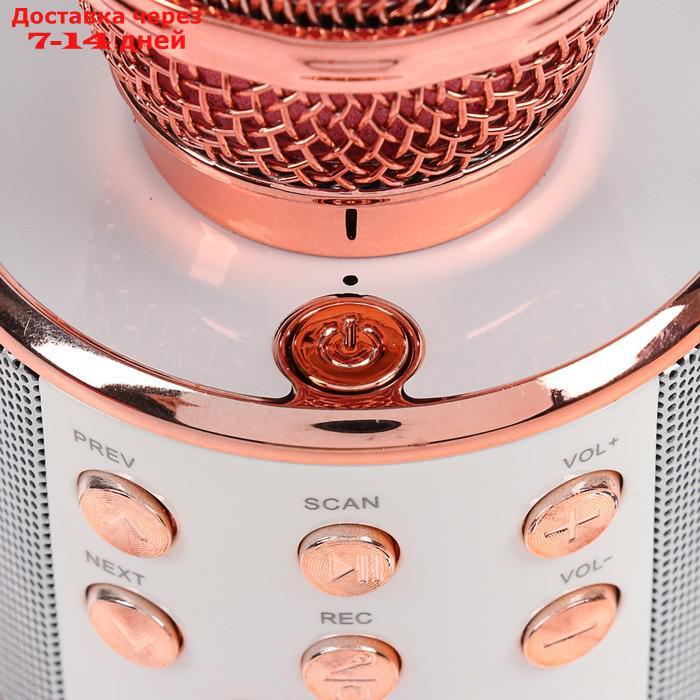 Микрофон для караоке LuazON LZZ-56, WS-858, 1800 мАч, розовый - фото 4 - id-p227111194