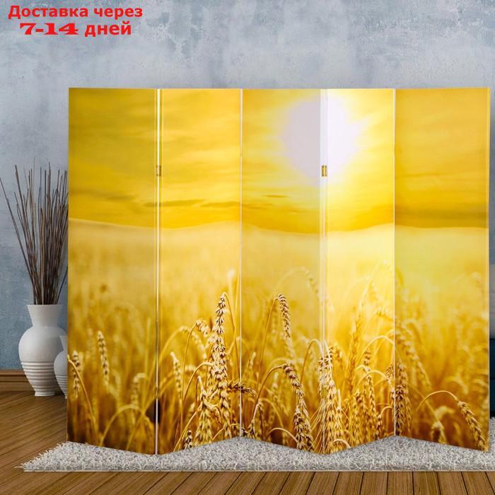 Ширма "Пшеничное поле", 250 х 160 см - фото 1 - id-p227129019