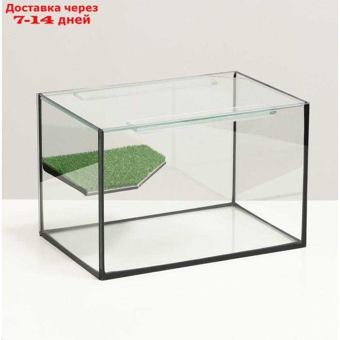 Террариум с покровным стеклом и мостиком 12 литров, 30х20х20 см - фото 1 - id-p227119332