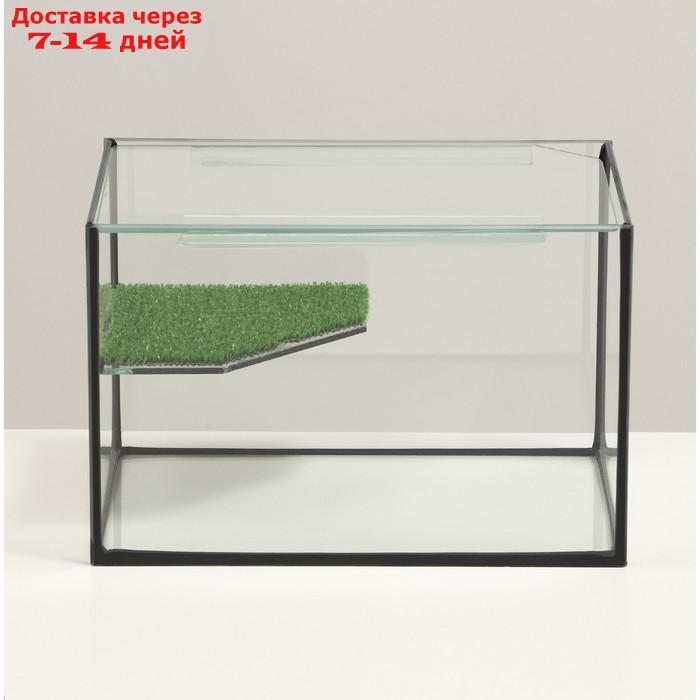 Террариум с покровным стеклом и мостиком 12 литров, 30х20х20 см - фото 2 - id-p227119332