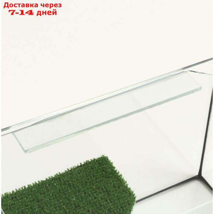 Террариум с покровным стеклом и мостиком 12 литров, 30х20х20 см - фото 5 - id-p227119332