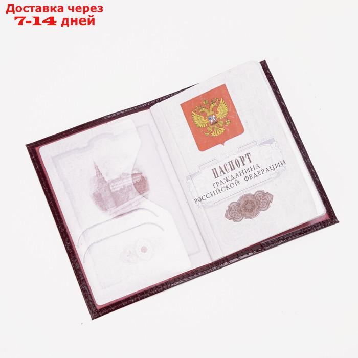 Обложка для паспорта, тиснение, крокодил, цвет бордовый - фото 5 - id-p226982678