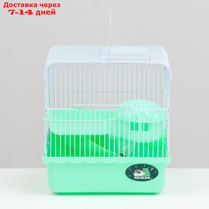 Клетка для грызунов, 23 х 17 х 26 см, эмаль, зелёная - фото 2 - id-p227119345