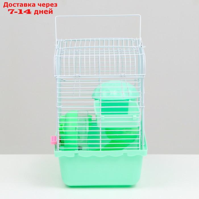 Клетка для грызунов, 23 х 17 х 26 см, эмаль, зелёная - фото 3 - id-p227119345