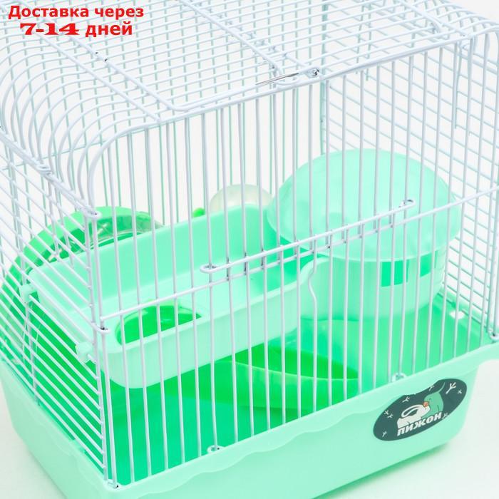 Клетка для грызунов, 23 х 17 х 26 см, эмаль, зелёная - фото 4 - id-p227119345