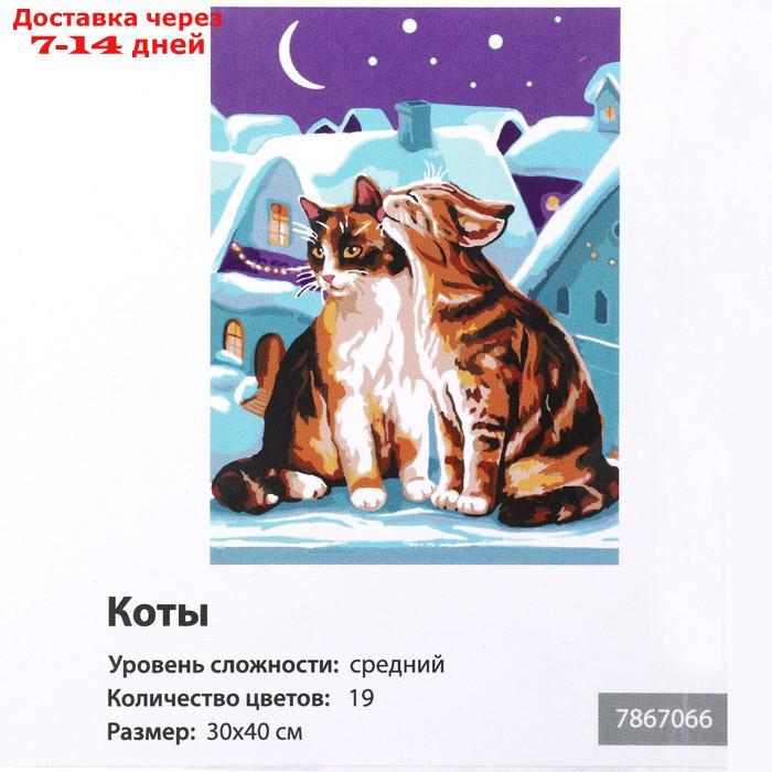 Картина по номерам на холсте с подрамником "Коты" 30х40 см - фото 5 - id-p227118052