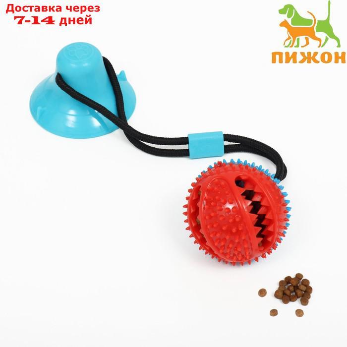 Игрушка для собак "Шар для лакомств на присоске", 40 х 8 см, мятная - фото 1 - id-p227130028