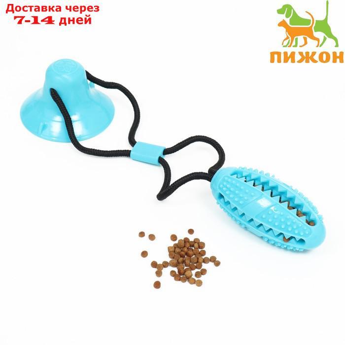Игрушка для собак "Эллипсоид для лакомств на присоске", 40 х 9 см, голубая - фото 1 - id-p227130030