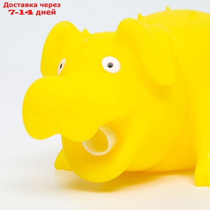 Игрушка пищащая "Весёлая свинья" для собак, хрюкающая, светящаяся, 19 см, жёлтая - фото 2 - id-p227105360