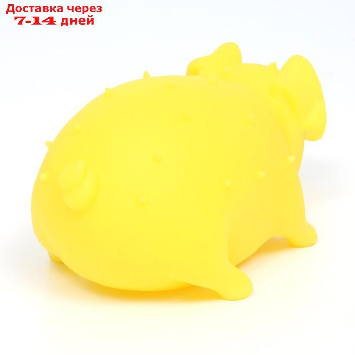 Игрушка пищащая "Весёлая свинья" для собак, хрюкающая, светящаяся, 19 см, жёлтая - фото 3 - id-p227105360