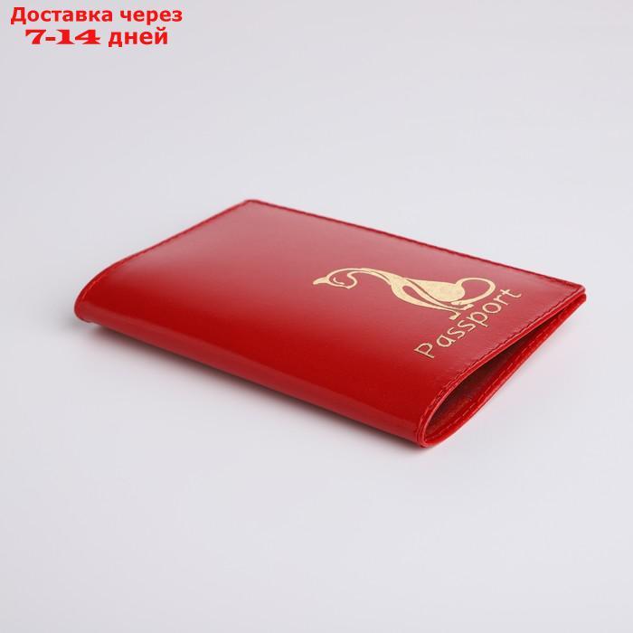 Обложка для паспорта, тиснение, цвет красный - фото 3 - id-p226982704