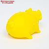 Игрушка пищащая "Весёлая свинья" для собак, хрюкающая, светящаяся, 19 см, жёлтая, фото 4
