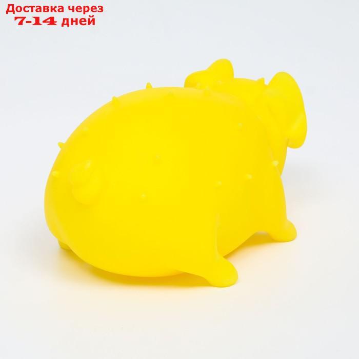 Игрушка пищащая "Весёлая свинья" для собак, хрюкающая, светящаяся, 19 см, жёлтая - фото 4 - id-p227105360