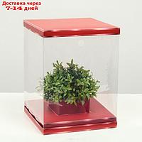 Коробка для цветов с вазой и PVC окнами складная, красный, 23 х 30 х 23 см сиреневый