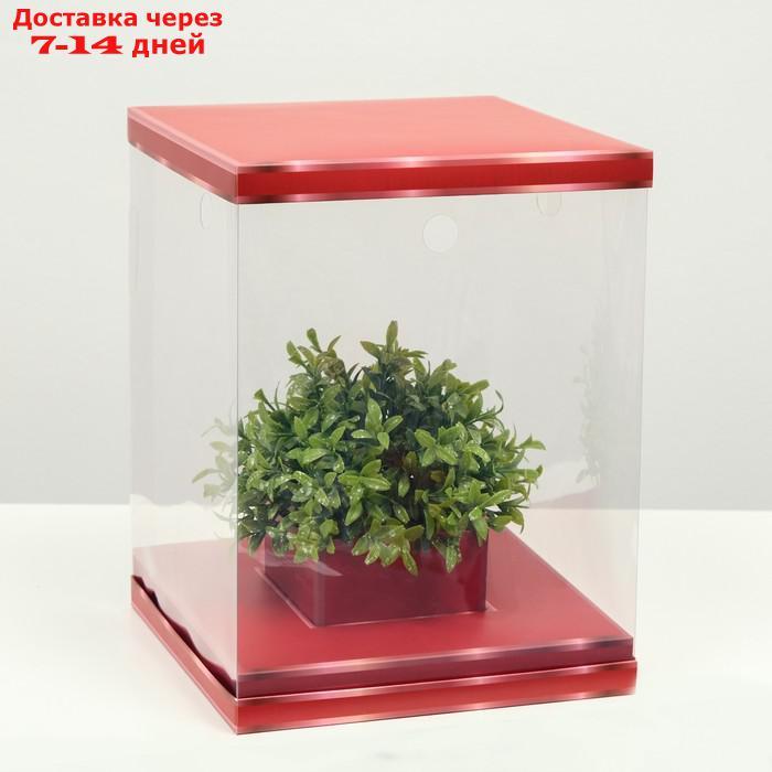 Коробка для цветов с вазой и PVC окнами складная, красный, 23 х 30 х 23 см сиреневый - фото 1 - id-p227118058