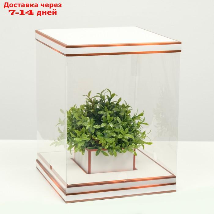 Коробка для цветов с вазой и PVC окнами складная, бронза, 23 х 30 х 23 см - фото 1 - id-p227118060