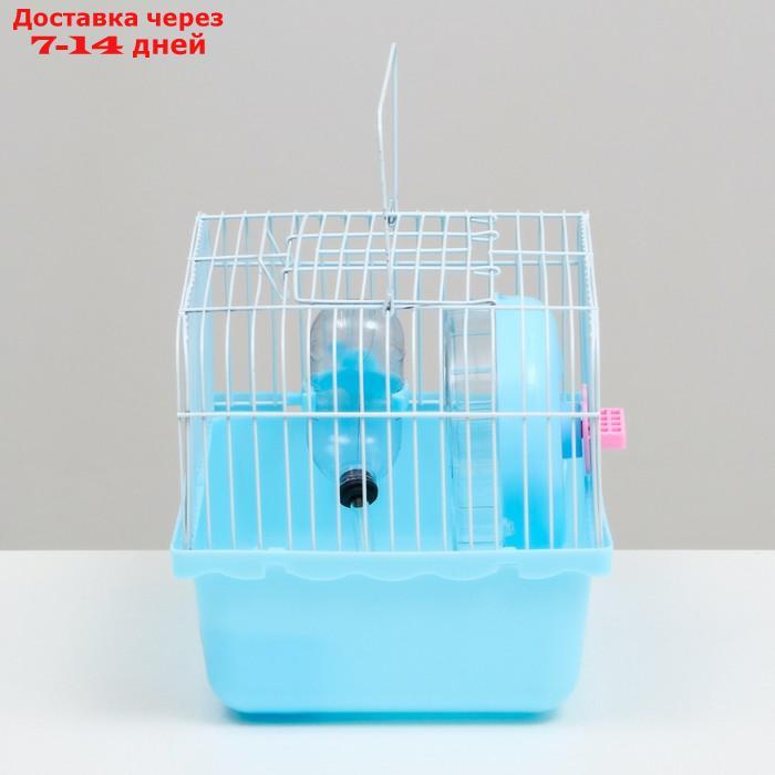 Клетка для грызунов, 23 х 17 х 17 см, голубая - фото 3 - id-p227119352