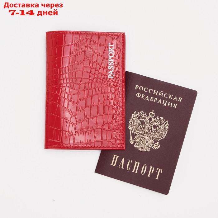Обложка для паспорта, тиснение фольга, крокодил, цвет красный - фото 4 - id-p226982708
