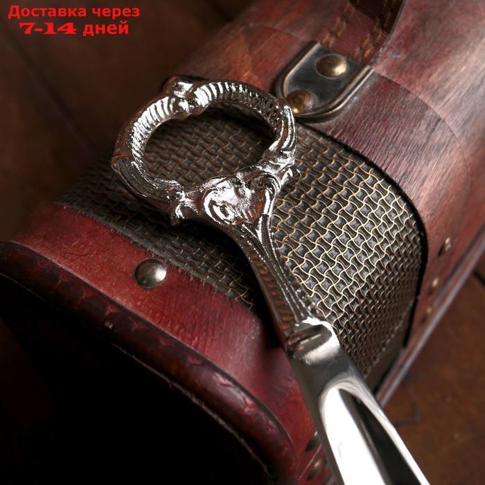 Ложка для обуви "Кольцо" алюминий 25х5х1 см - фото 2 - id-p227100046